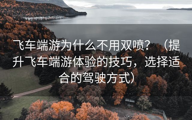 飞车端游为什么不用双喷？（提升飞车端游体验的技巧，选择适合的驾驶方式）