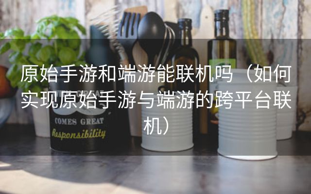 原始手游和端游能联机吗（如何实现原始手游与端游的跨平台联机）