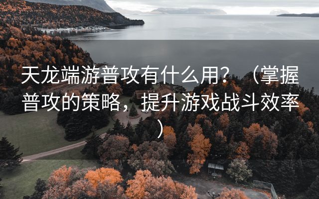 天龙端游普攻有什么用？（掌握普攻的策略，提升游戏战斗效率）