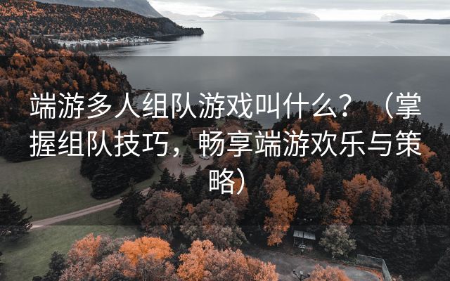 端游多人组队游戏叫什么？（掌握组队技巧，畅享端游欢乐与策略）