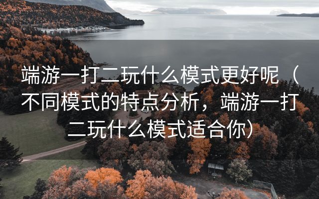 端游一打二玩什么模式更好呢（不同模式的特点分析，端游一打二玩什么模式适合你）