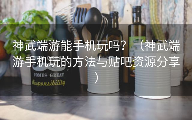 神武端游能手机玩吗？（神武端游手机玩的方法与贴吧资源分享）