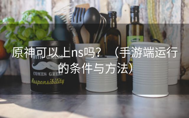 原神可以上ns吗？（手游端运行的条件与方法）