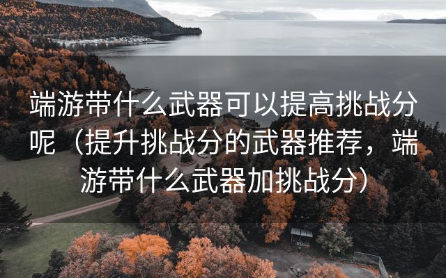 端游带什么武器可以提高挑战分呢（提升挑战分的武器推荐，端游带什么武器加挑战分）