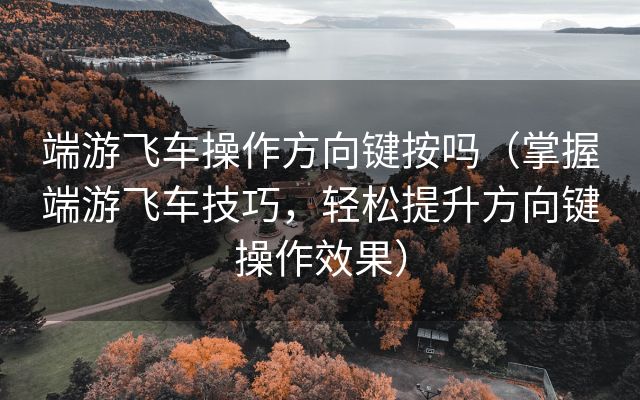 端游飞车操作方向键按吗（掌握端游飞车技巧，轻松提升方向键操作效果）