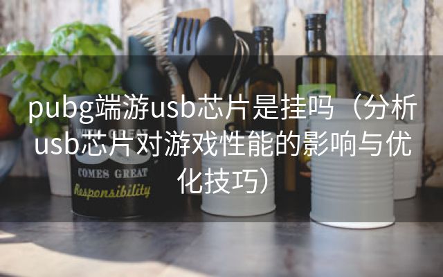 pubg端游usb芯片是挂吗（分析usb芯片对游戏性能的影响与优化技巧）