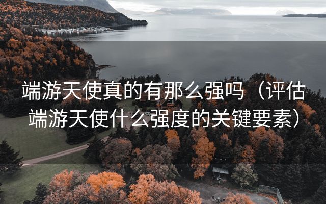 端游天使真的有那么强吗（评估端游天使什么强度的关键要素）