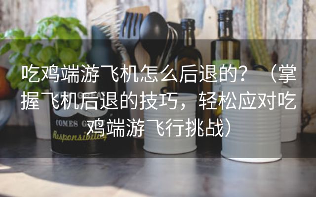 吃鸡端游飞机怎么后退的？（掌握飞机后退的技巧，轻松应对吃鸡端游飞行挑战）