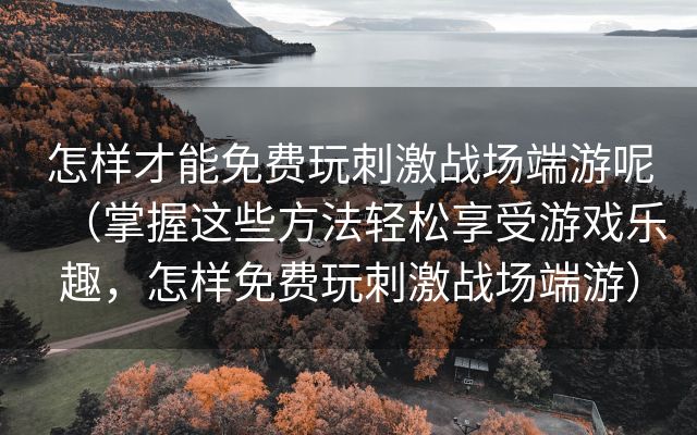 怎样才能免费玩刺激战场端游呢（掌握这些方法轻松享受游戏乐趣，怎样免费玩刺激战场端游）