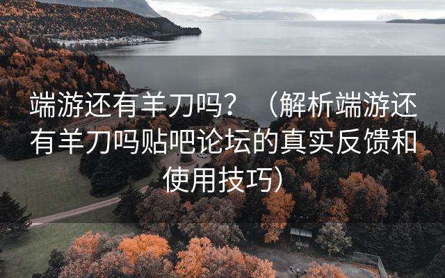 端游还有羊刀吗？（解析端游还有羊刀吗贴吧论坛的真实反馈和使用技巧）