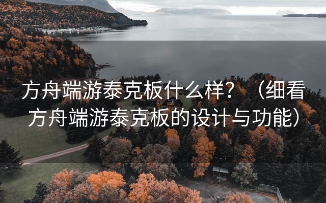 方舟端游泰克板什么样？（细看方舟端游泰克板的设计与功能）