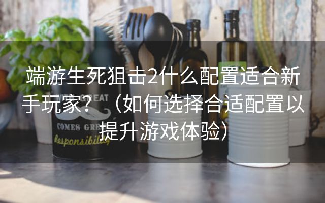 端游生死狙击2什么配置适合新手玩家？（如何选择合适配置以提升游戏体验）