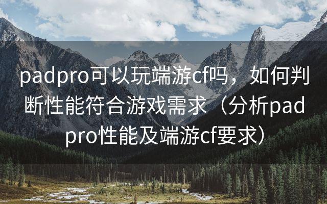 padpro可以玩端游cf吗，如何判断性能符合游戏需求（分析padpro性能及端游cf要求）