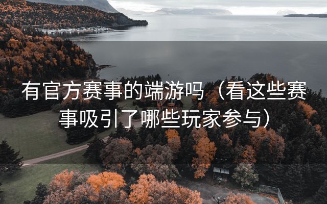 有官方赛事的端游吗（看这些赛事吸引了哪些玩家参与）