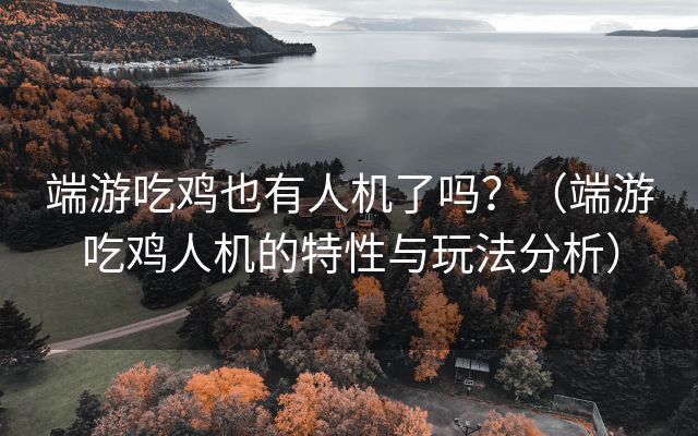 端游吃鸡也有人机了吗？（端游吃鸡人机的特性与玩法分析）